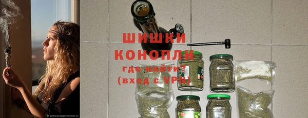 спайс Няндома
