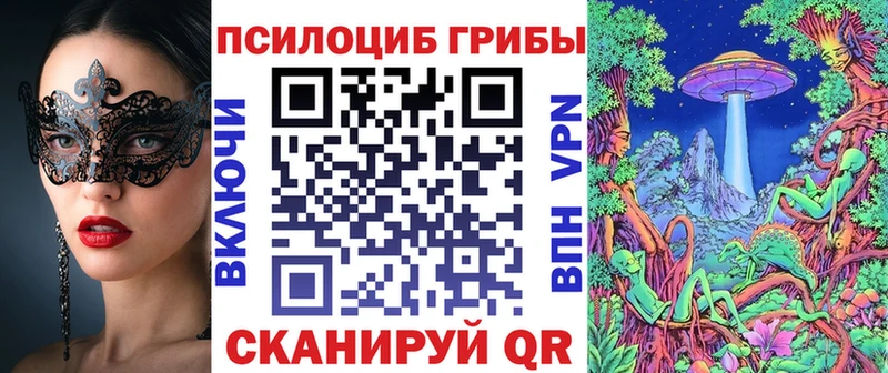 купить наркотики сайты  MEGA   Псилоцибиновые грибы MAGIC MUSHROOMS  Великие Луки 