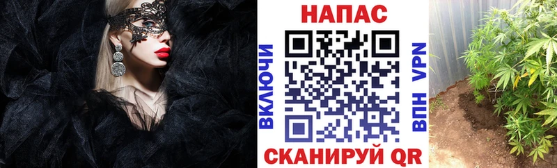Бошки марихуана AK-47  Великие Луки 